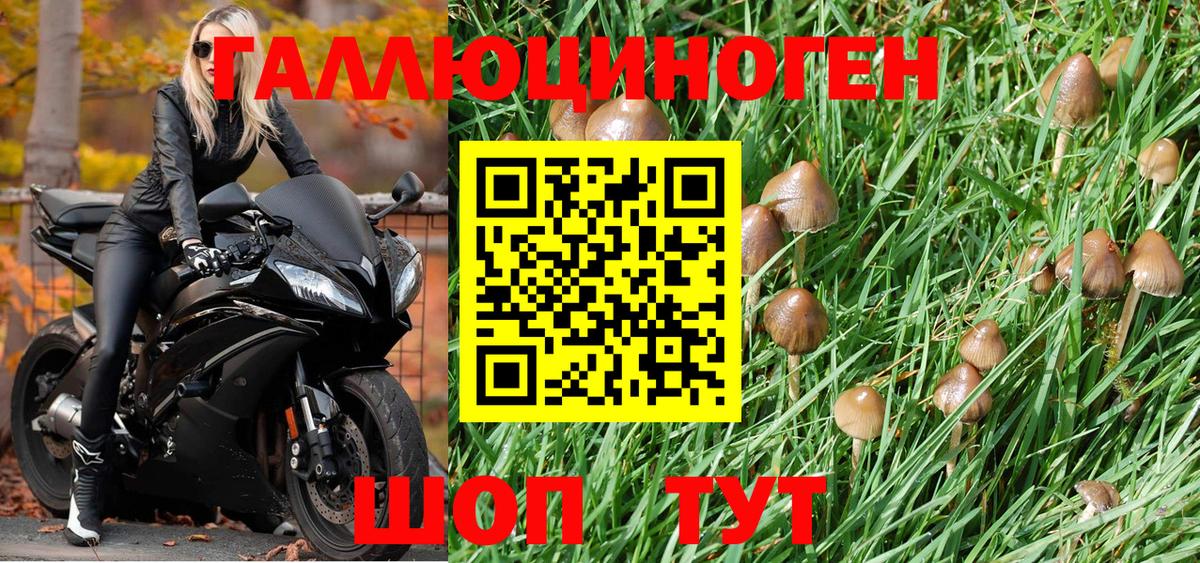 Галлюциногенные грибы Psilocybe  купить наркотик  Ижевск  Вход с VPN 